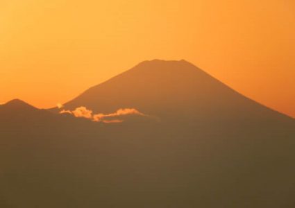 Bild von Japanische Akupunktur